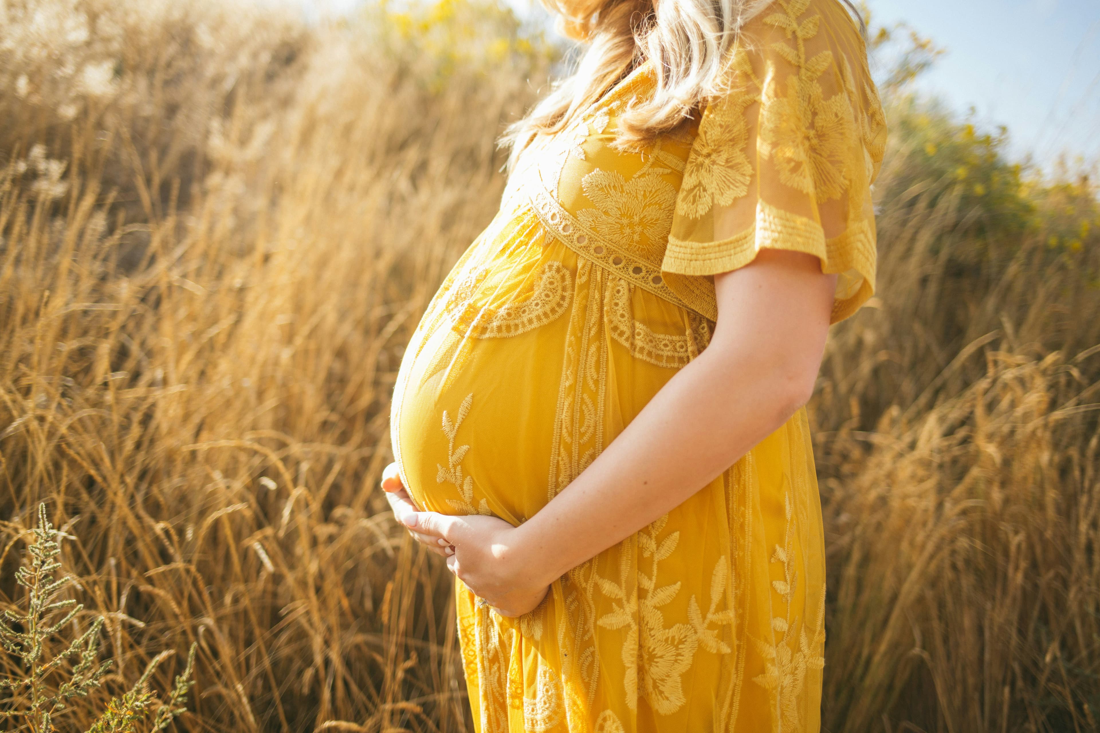 Entwicklungs-Meilensteine im Babybauch